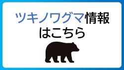 クマ情報