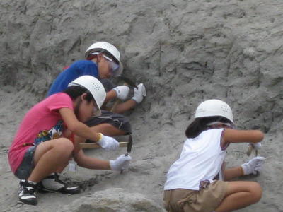 化石発掘体験