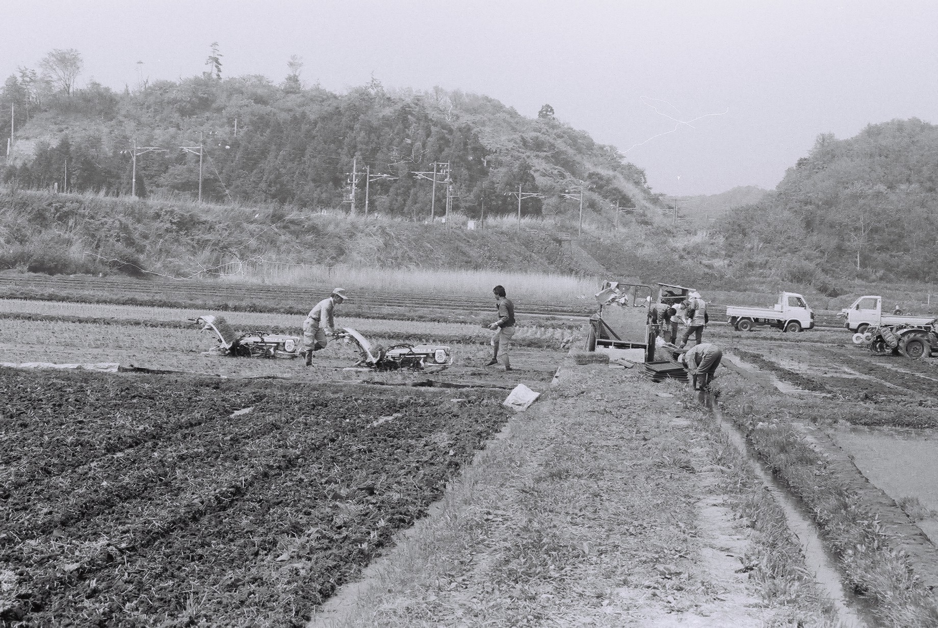常磐線を背景に泉町で行われていた田植え風景(昭和62年5月、いわき市撮影)