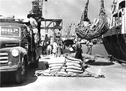12 小名浜港1号埠頭・韓国向けに硫安の積荷作業（昭和30年代、比佐不二夫氏提供）