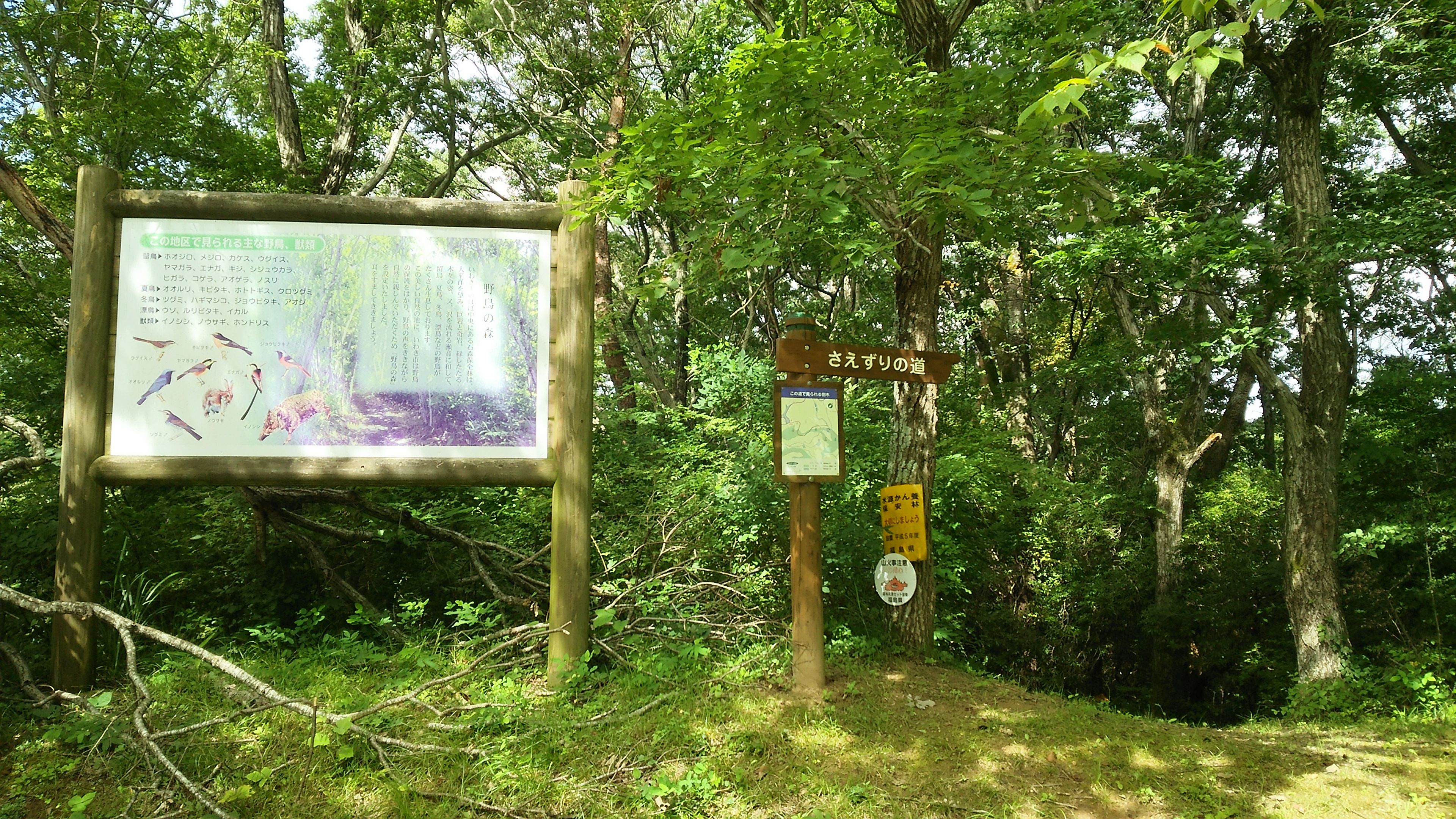 林道石森線からの入口