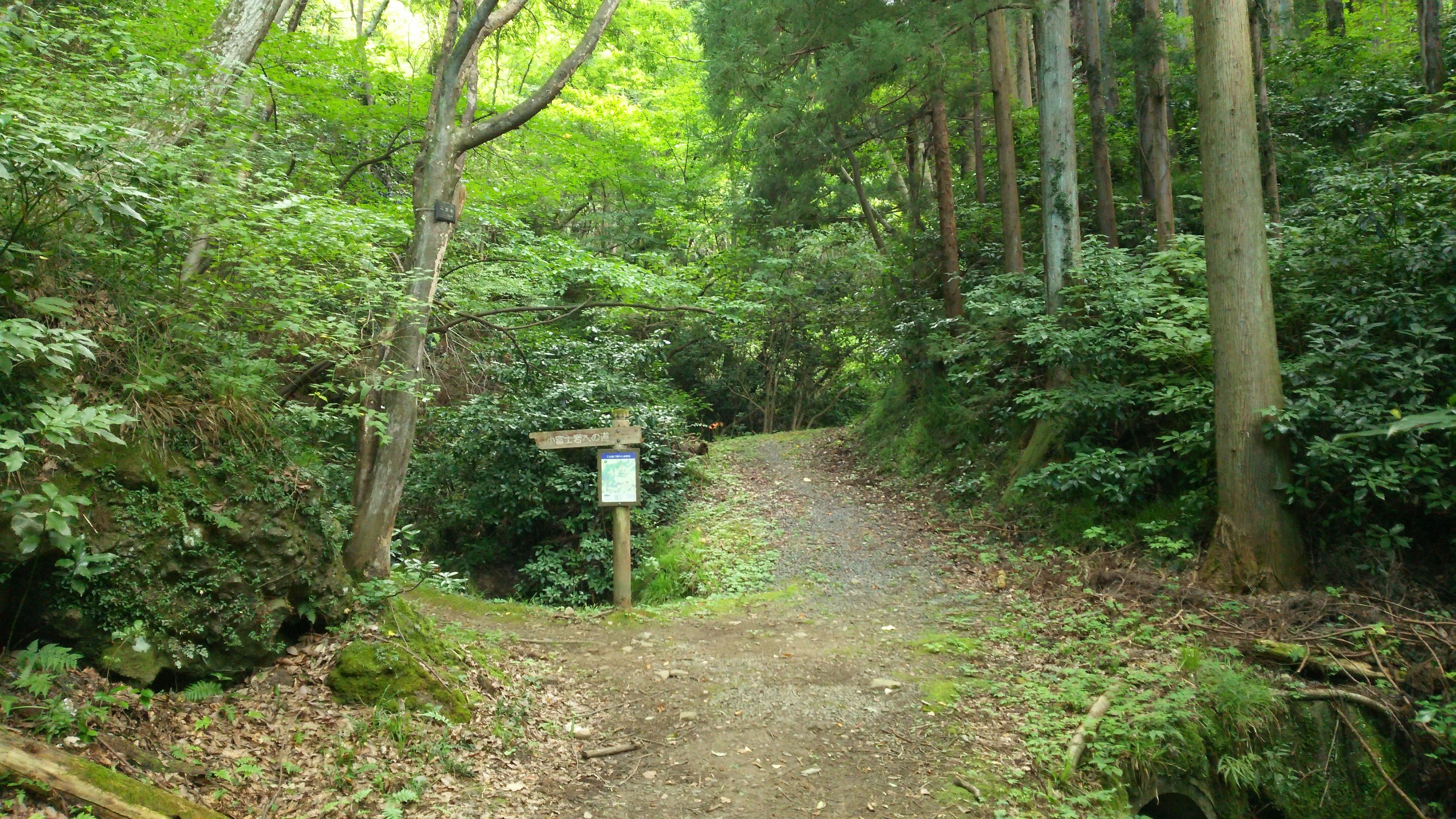 小富士岩の道との合流付近