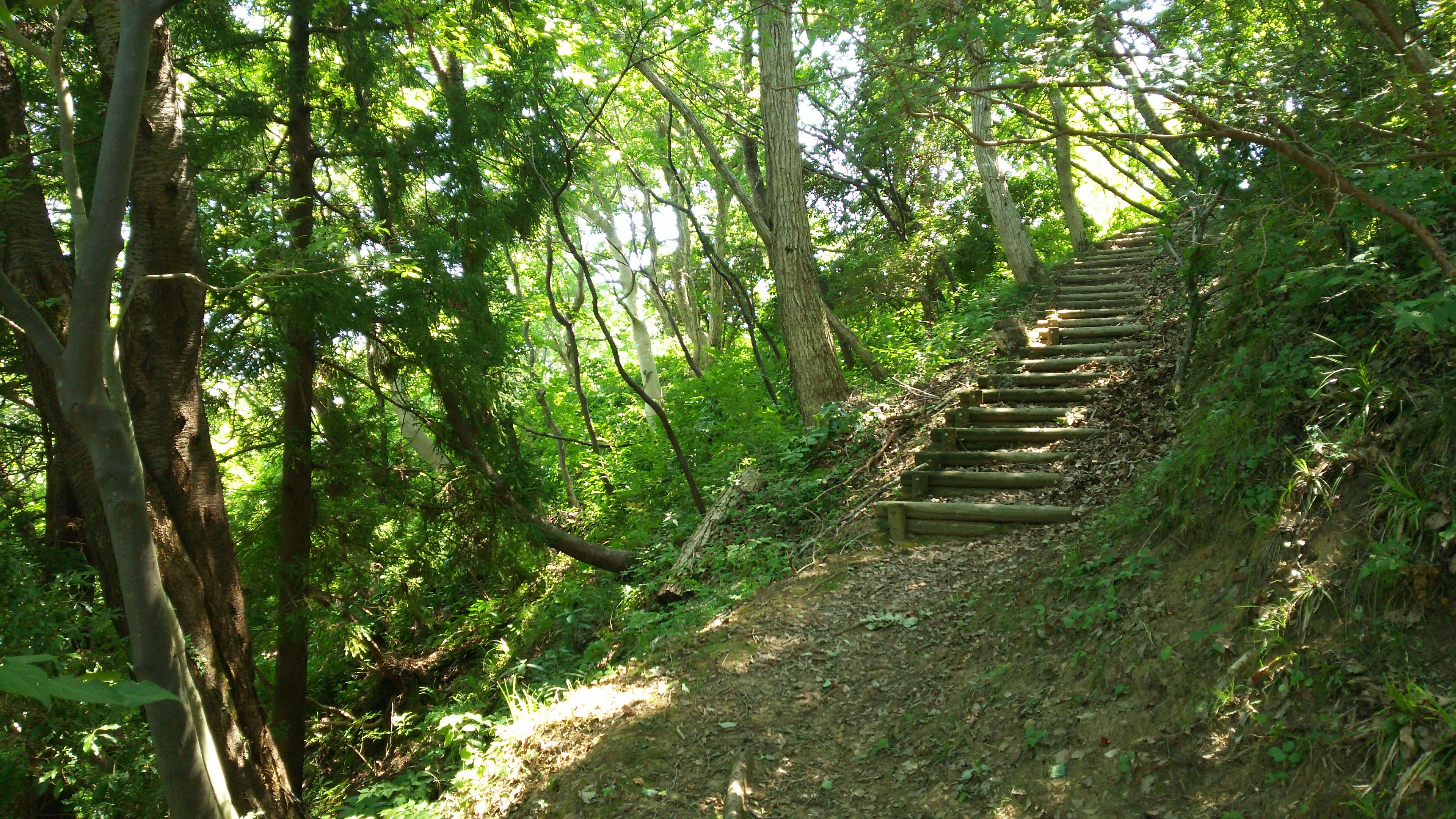 林道石森線沿い入口を入ってすぐの階段
