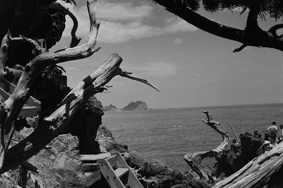8 弁天島から見る殿上岬(昭和30年代、渡辺聖一氏提供)
