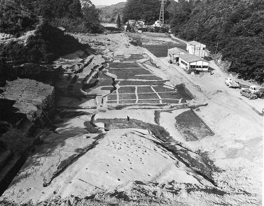 番匠地遺跡で発掘された水田跡を西側から見る　〔昭和60年代　市教育委員会提供〕