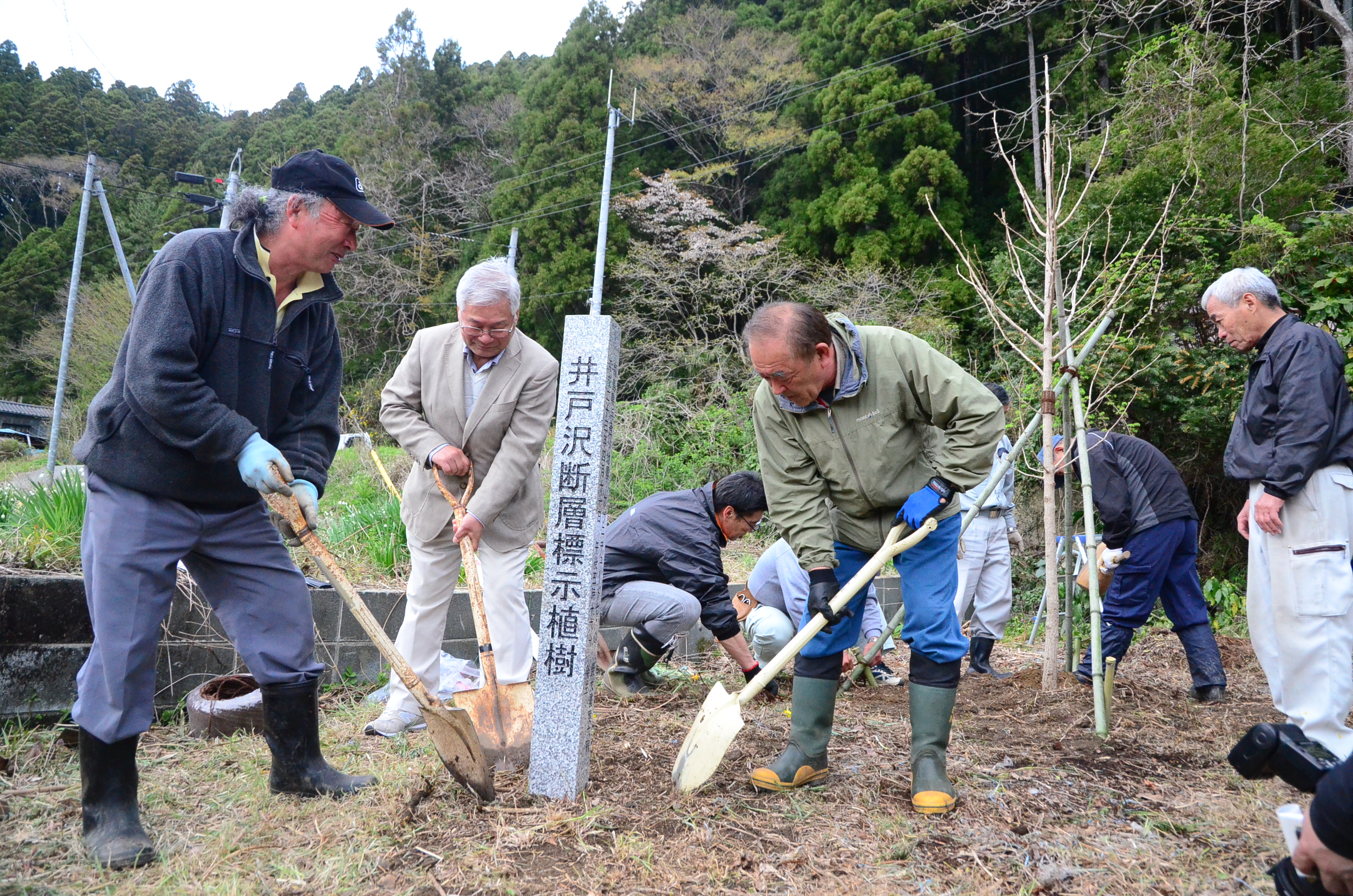田人町の井戸沢断層地ラインにイチョウを植樹(2018年4月、いわき市撮影)