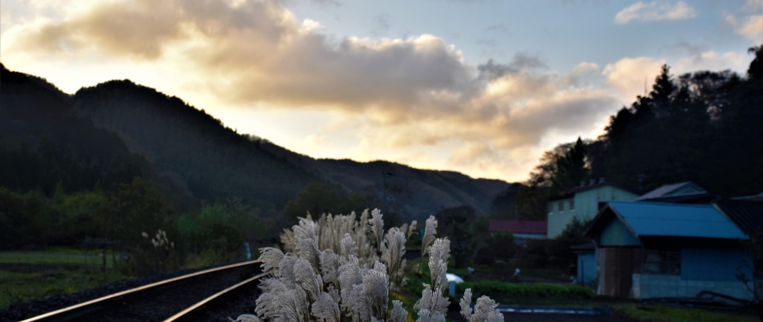すすきと夕焼け