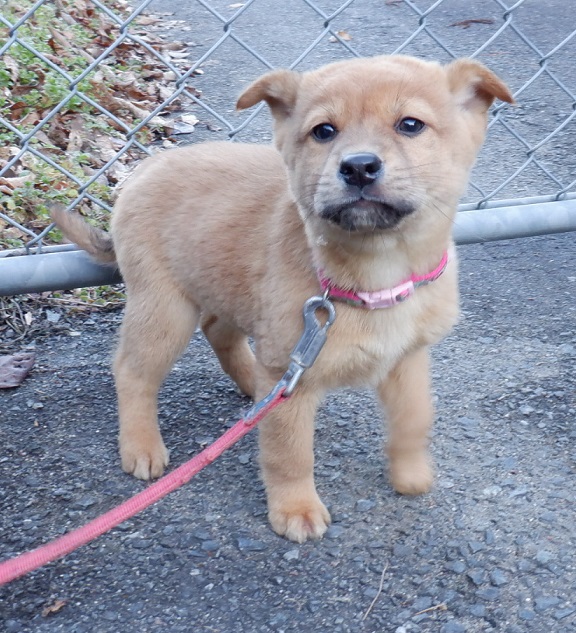 R7.12.10雑茶黒♂総一郎