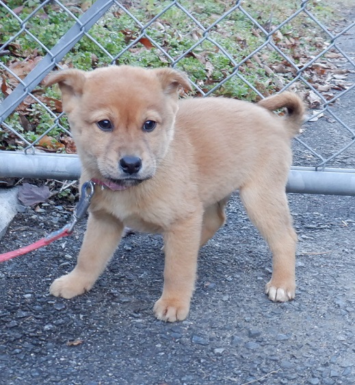 R7.12.10雑茶黒♂総一郎