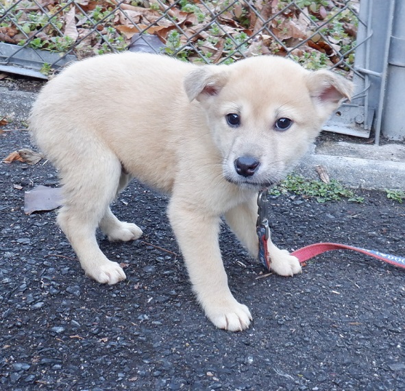 R7.12.10雑茶黒♂笑太