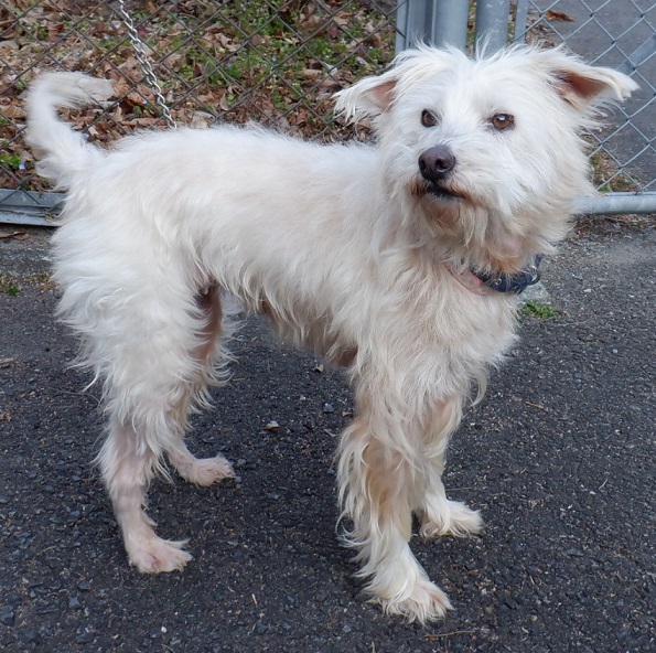 R7.10.30雑白♀りぼん