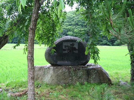 雨降り松