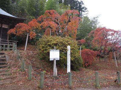 平成27年12月3日