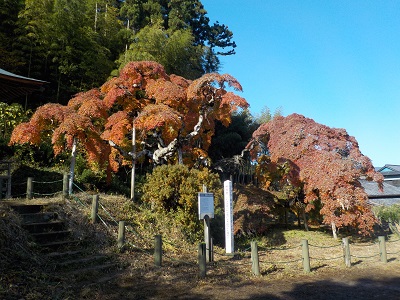 平成28年11月22日