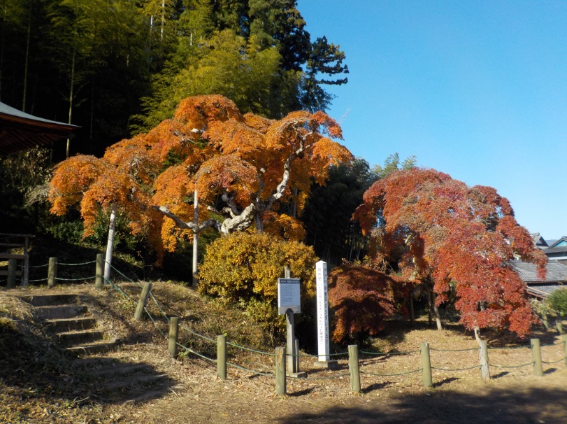 平成29年11月27日