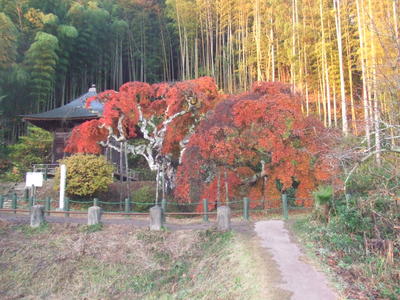 平成21年11月27日