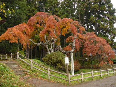 平成16年11月30日