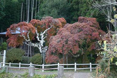 平成17年11月27日