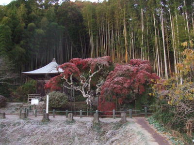 平成20年11月21日