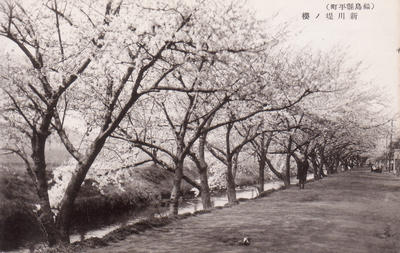 昭和時代初期の新川