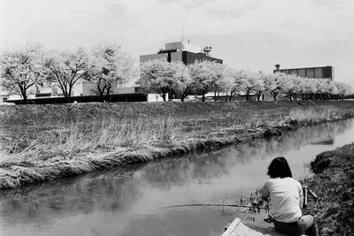 昭和50年4月の新川