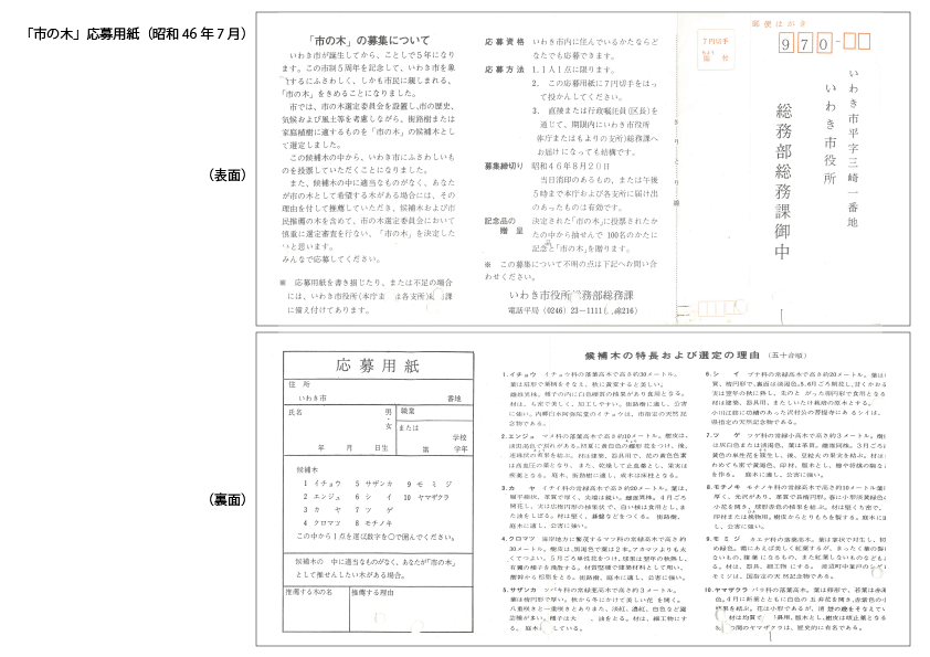 市の木応募用紙(昭和46年7月、いわき市)