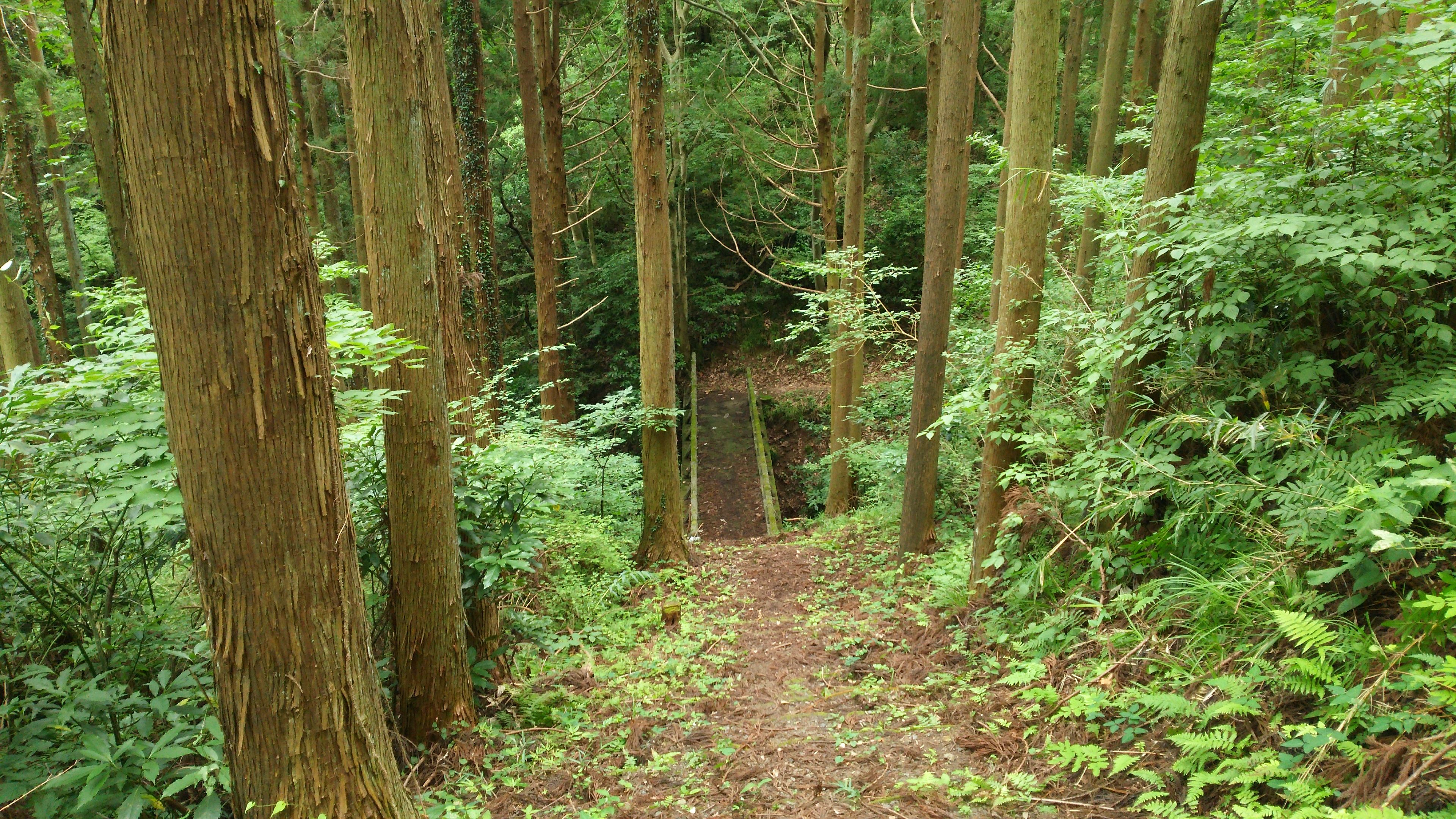 橋の手前の急な下り階段