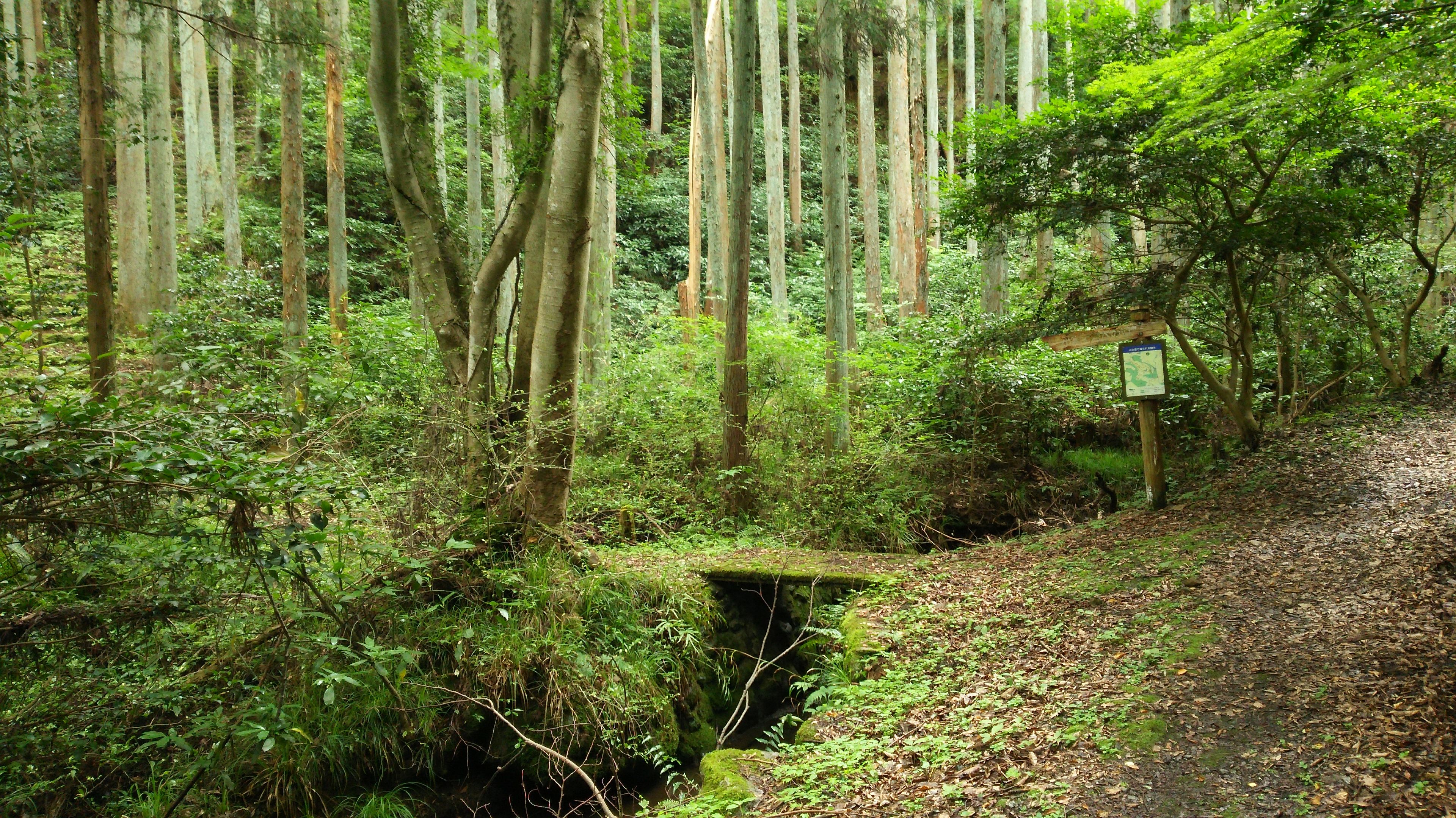 せせらぎの道からの入口