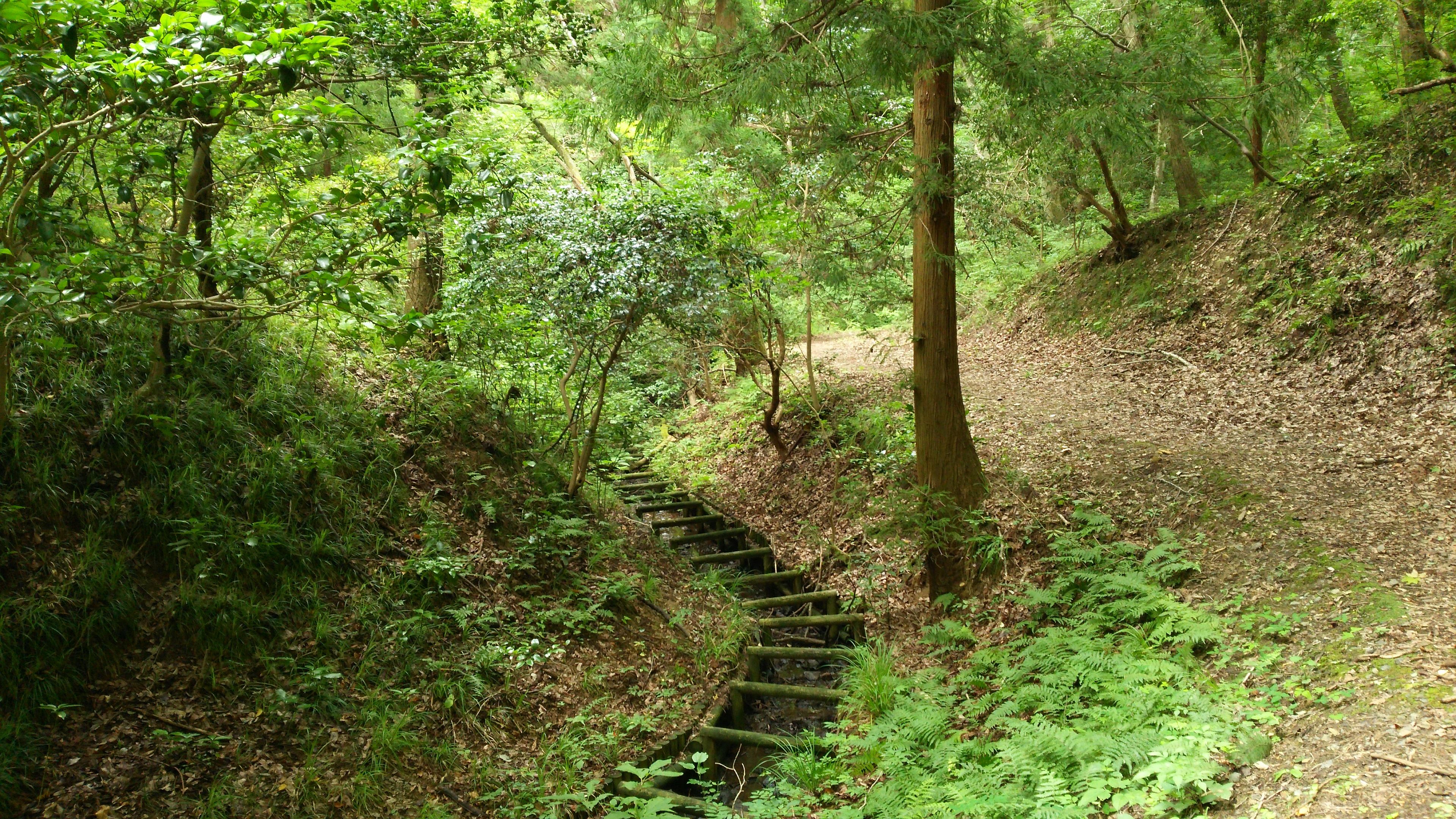 小川沿いを歩く「せせらぎの道」