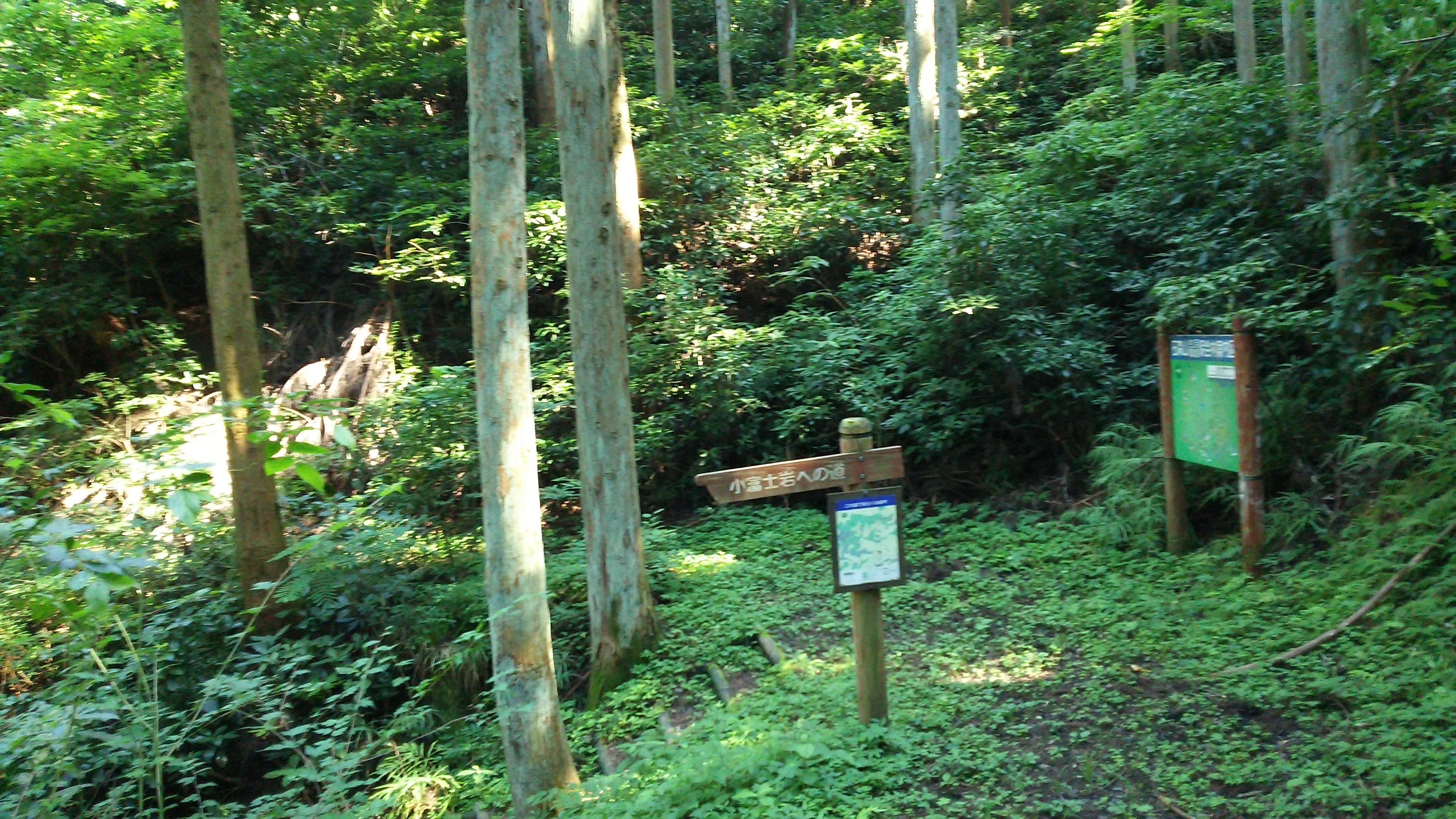 小富士岩の道入口（千本杉の道との合流付近）