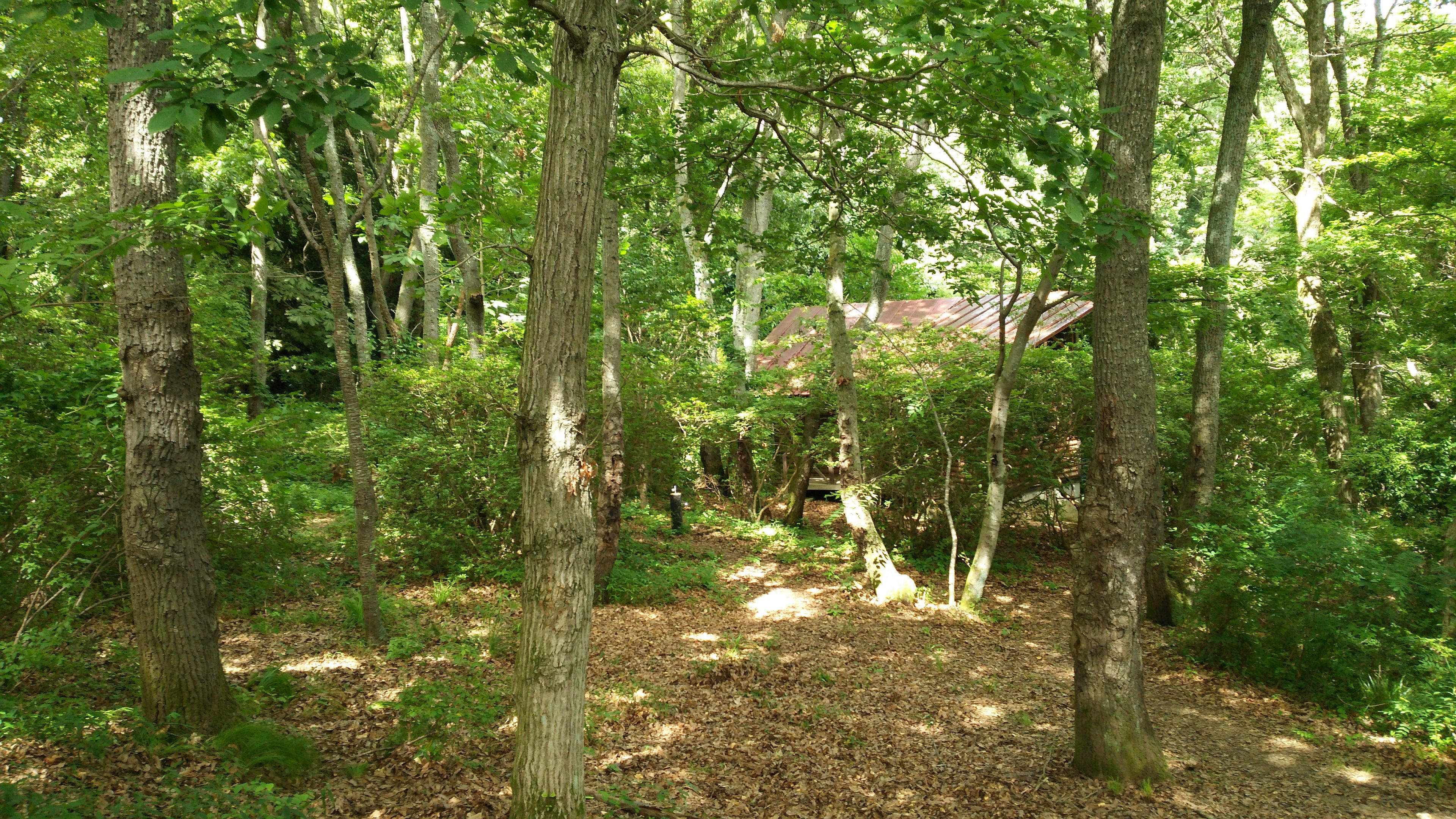 野鳥観察舎のある広場