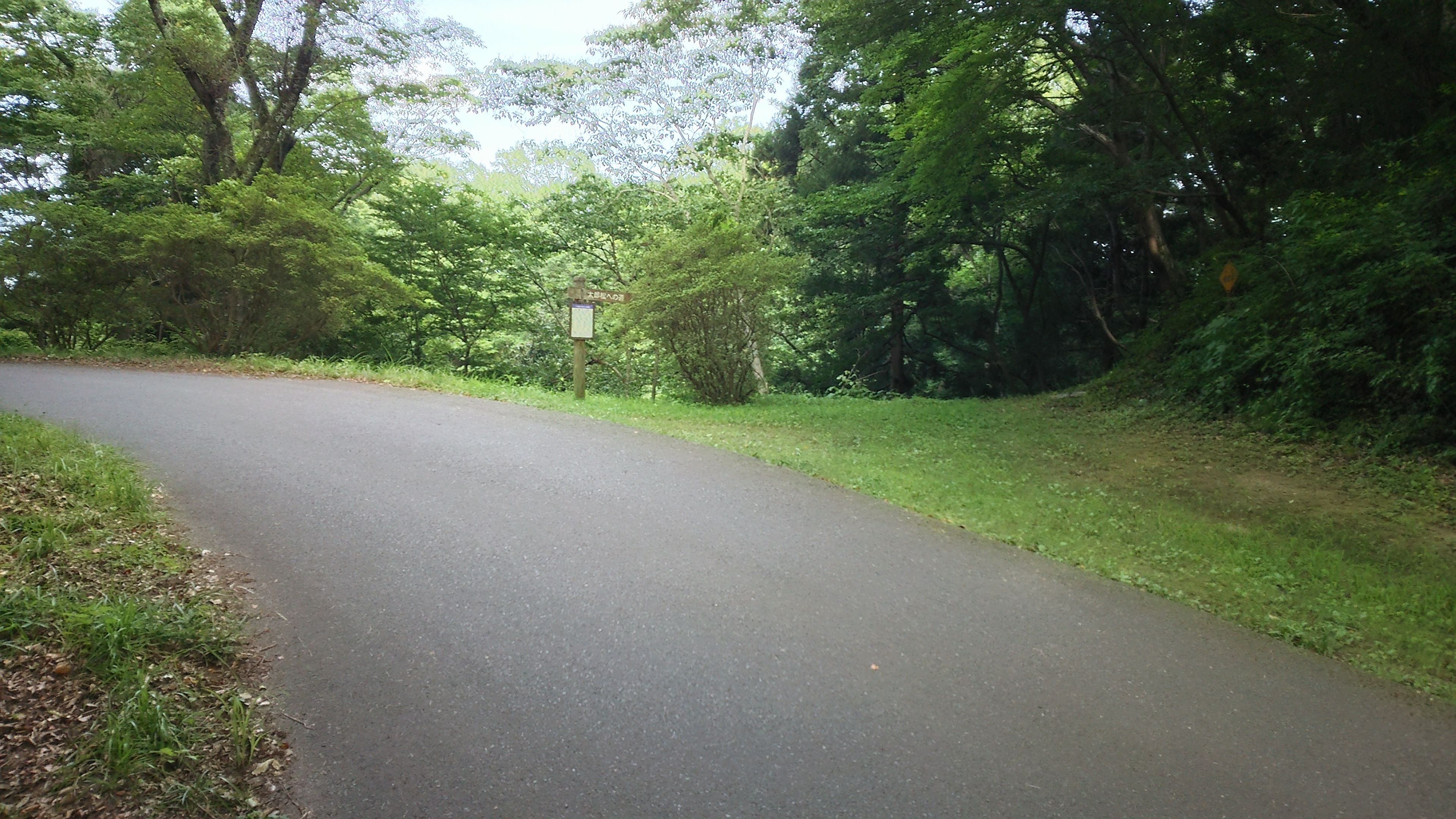 林道石森線沿いの入口