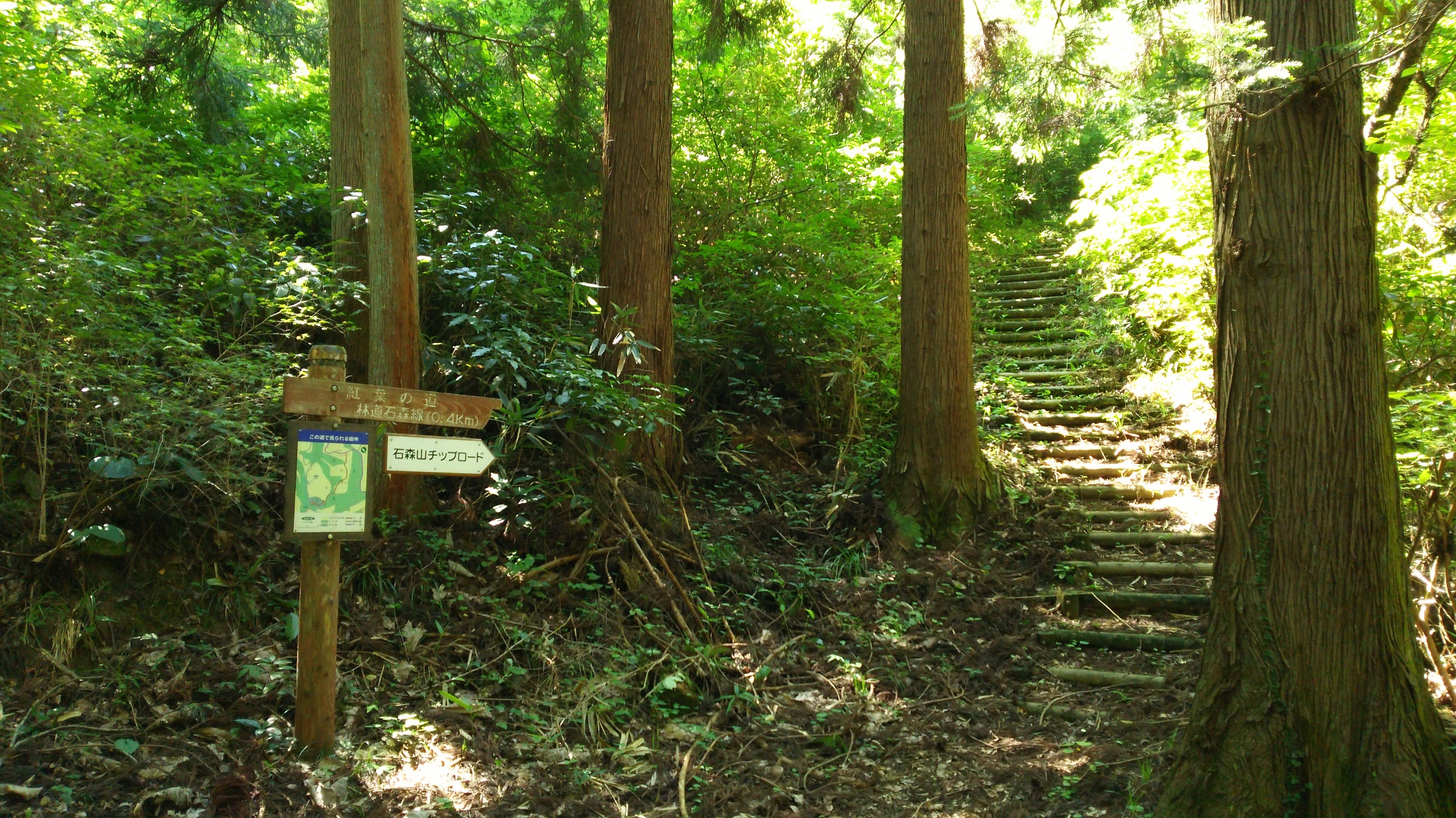 滝岩への道側の入口