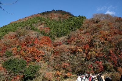 12_鮫川・龍神橋付近の紅葉(平成20年12月、遠野支所撮影)