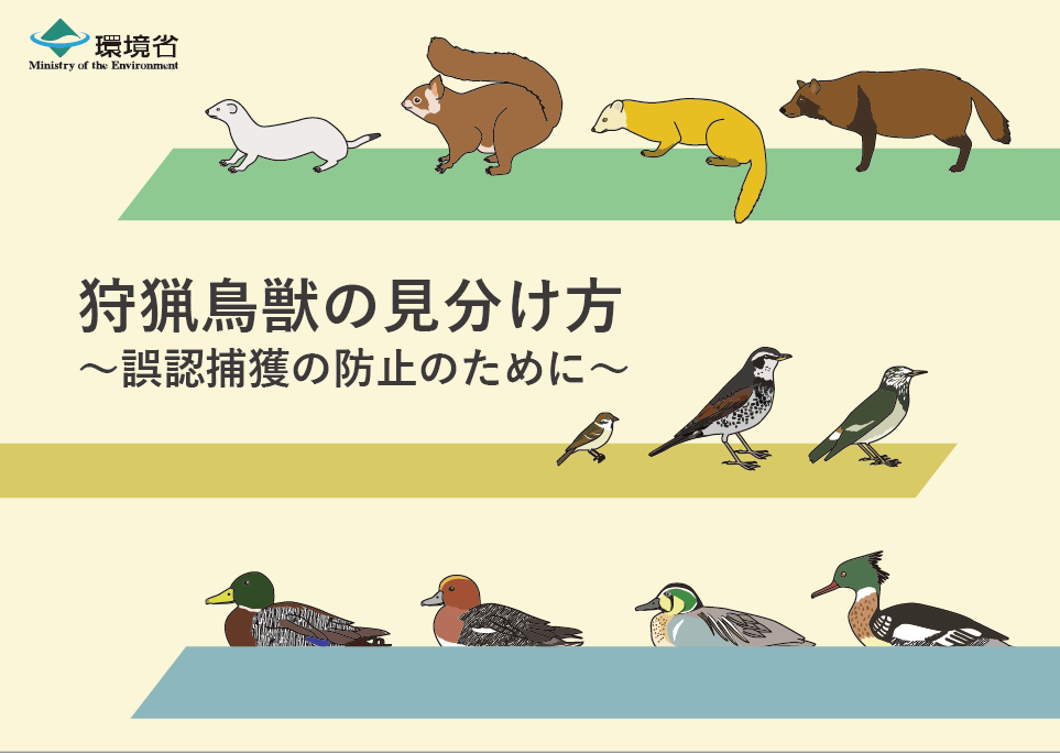 狩猟鳥獣の見分け方