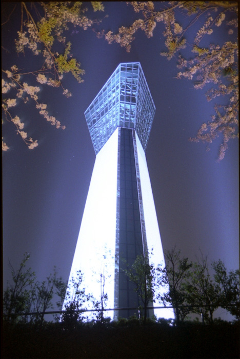 写真03  いわきマリンタワーのライトアップとサクラ(平成15年、いわき市撮影)