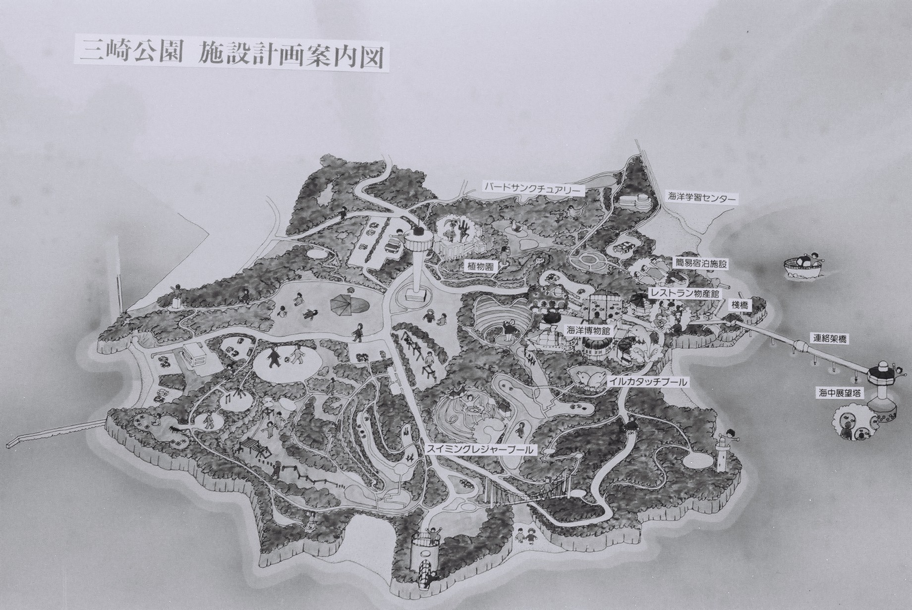三崎公園の将来図