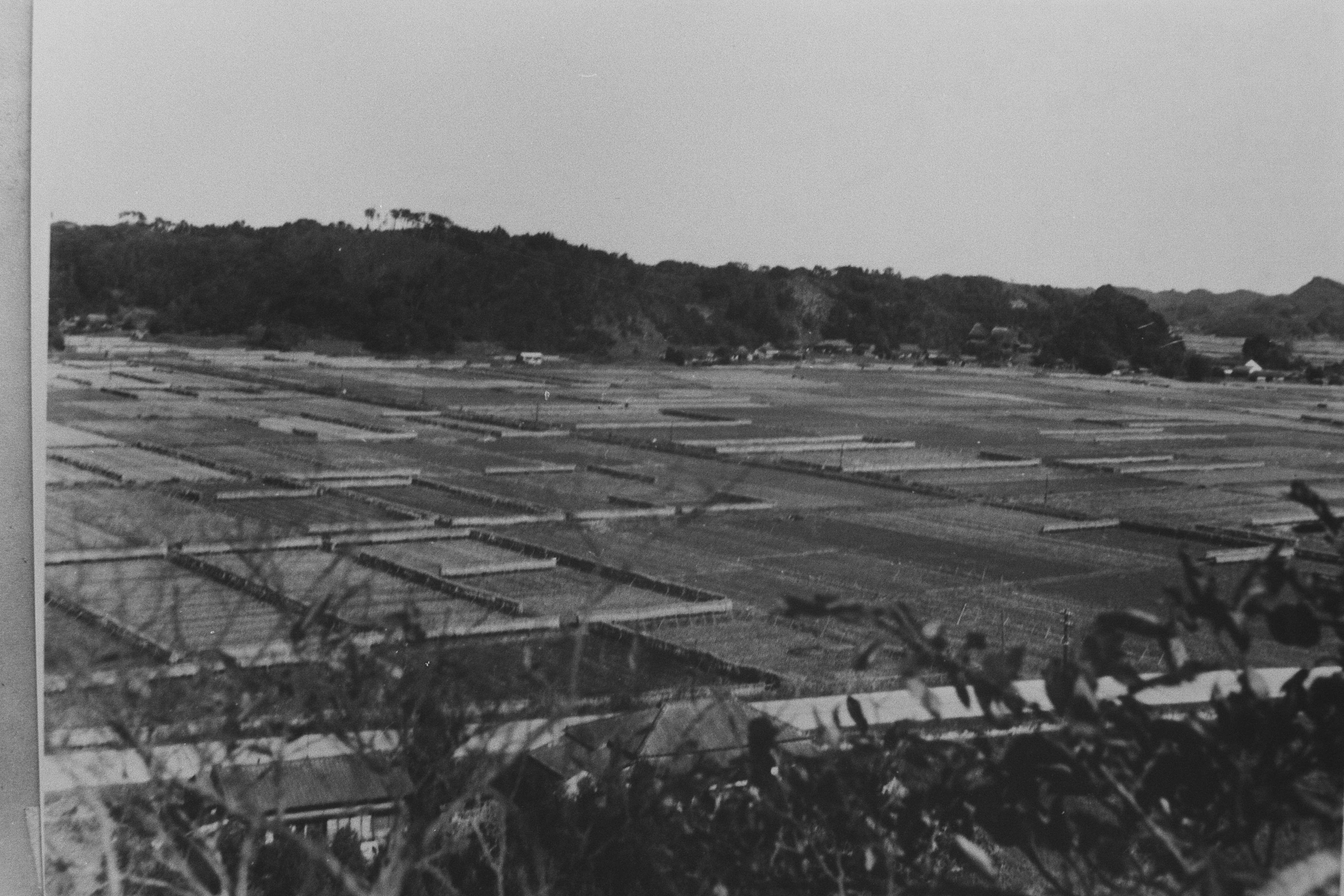 03　玉川団地予定地東側を住吉館山から見る(昭和30年代、比佐不二夫氏提供)