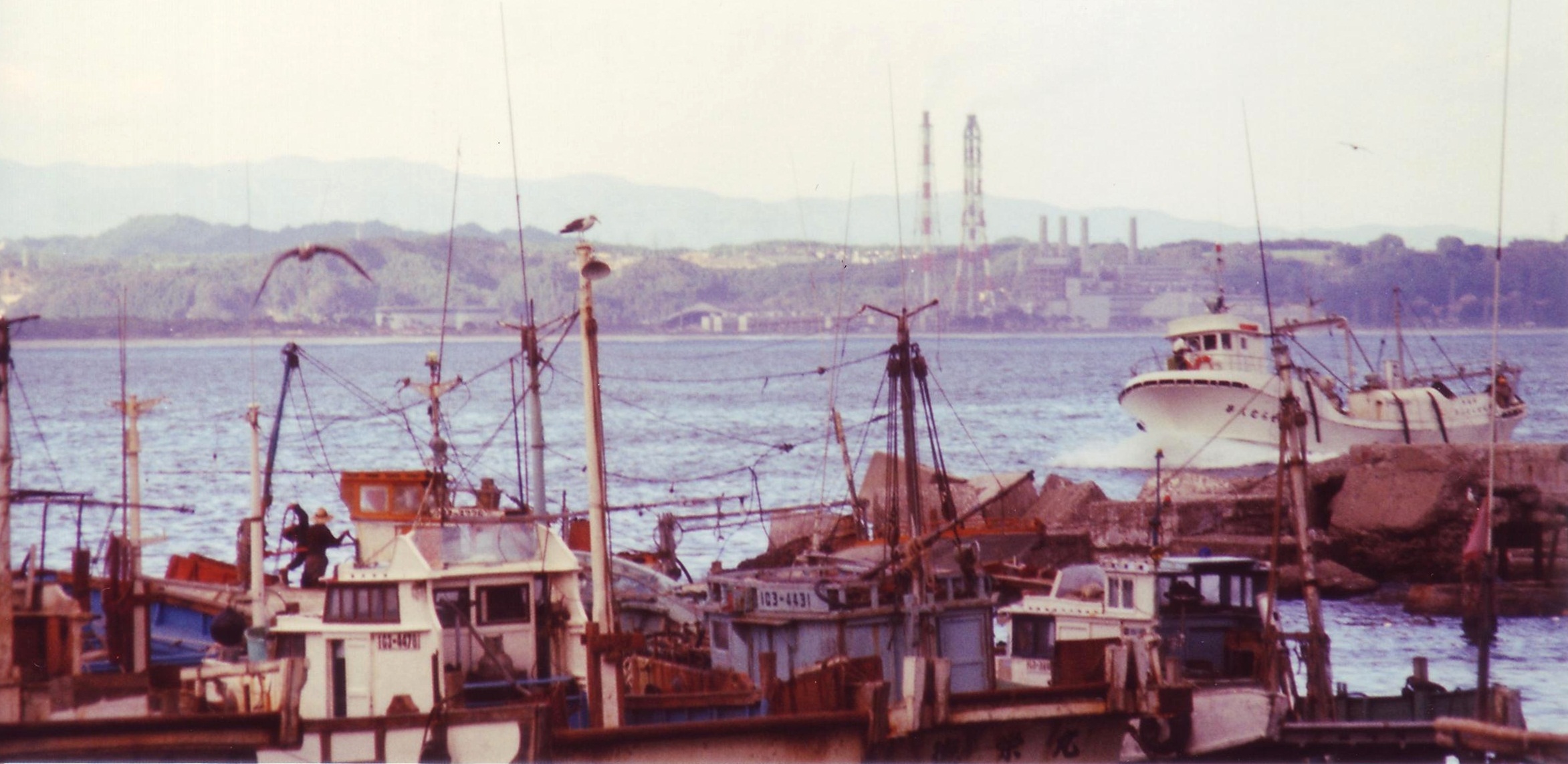 06 小浜漁港の船群(昭和50年代、佐藤信夫氏撮影)