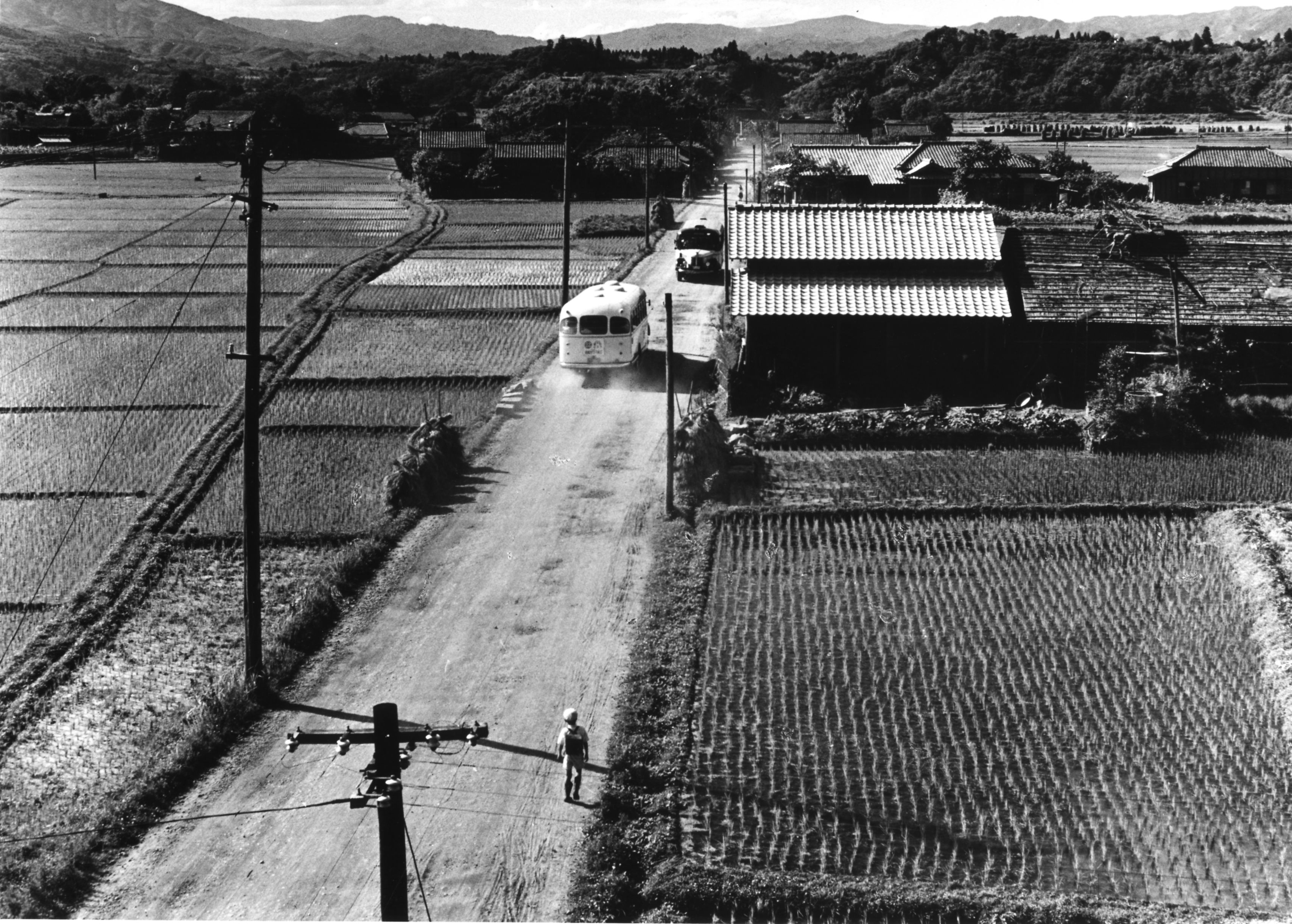 6 平市大字中平窪字横枕の杉内バス停付近を火の見やぐらから見る〔昭和27(1952)年7月、松本正平氏撮影・松本正夫氏提供〕