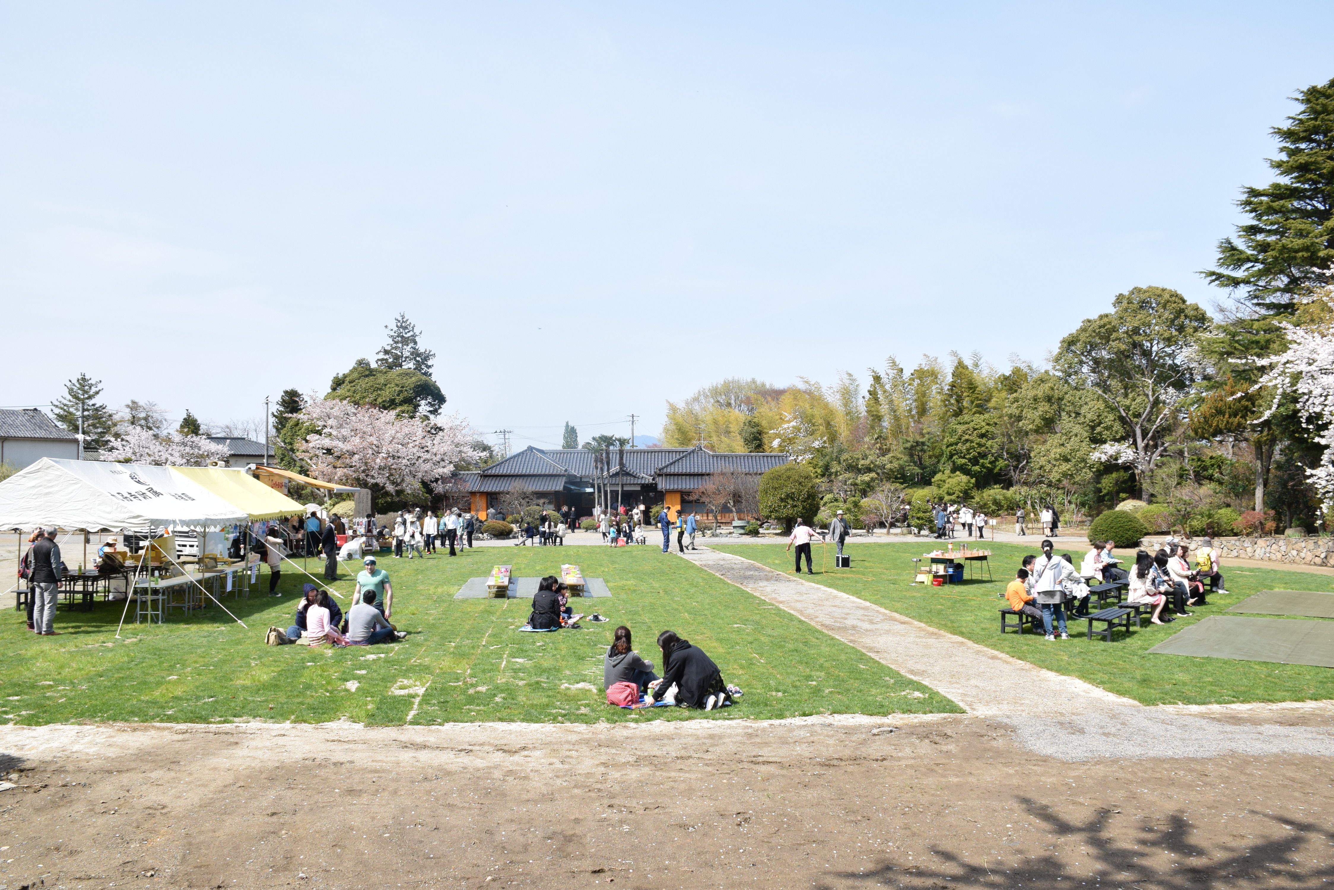 13 磐城平城さくらまつり(平成27年4月、いわき市撮影)