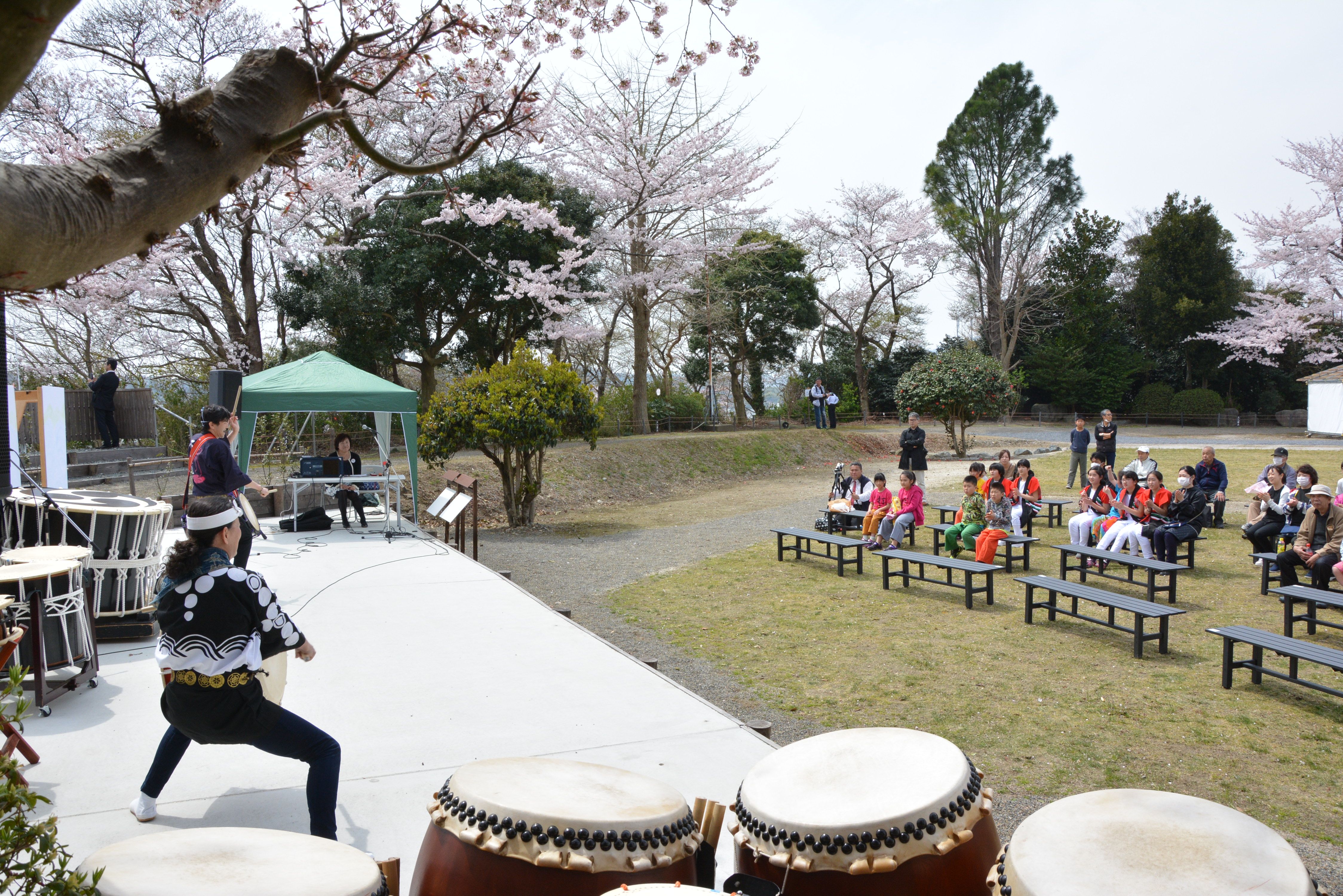 15 磐城平城さくらまつり(平成28年4月、いわき市撮影)