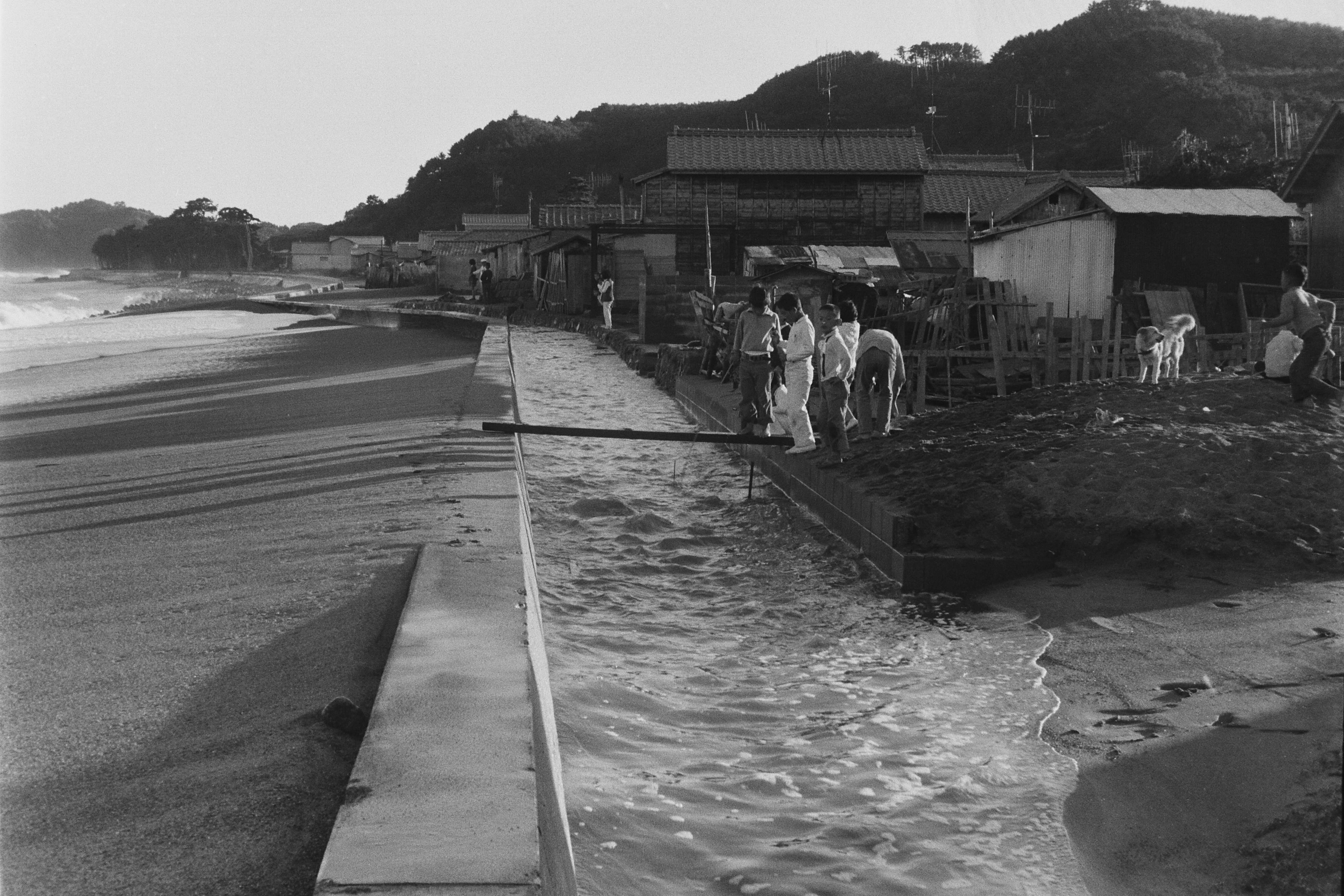 3 台風高潮による被害〔昭和47(1972)年10月、いわき市撮影〕