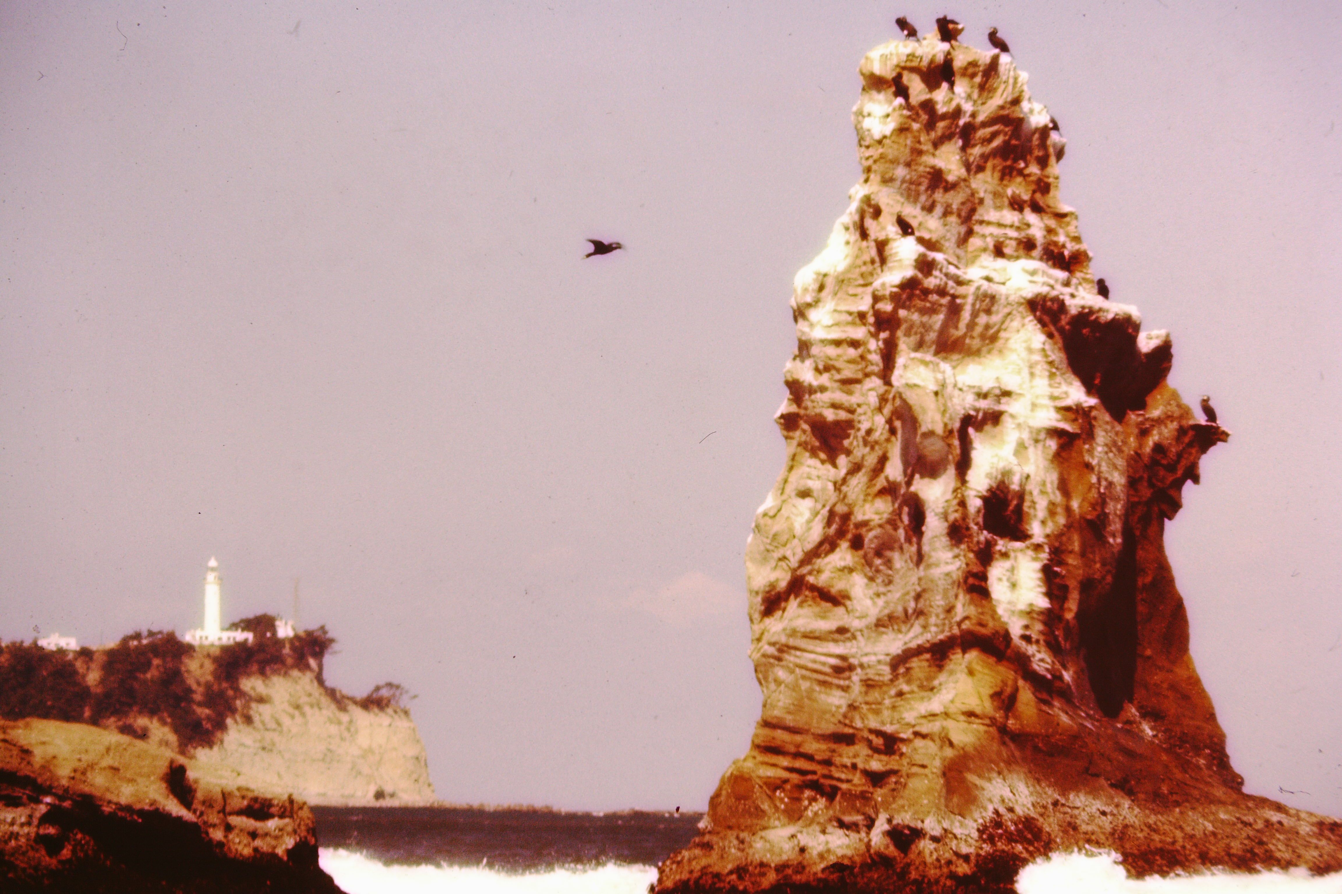 5 二見ケ浦の鵜と遠方に塩屋埼灯台(昭和50年代、いわき市撮影)