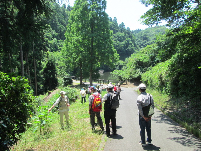 ゆるゆると楽しく散策・遊歩道