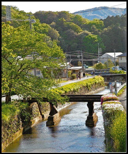 学生賞　水辺の集い