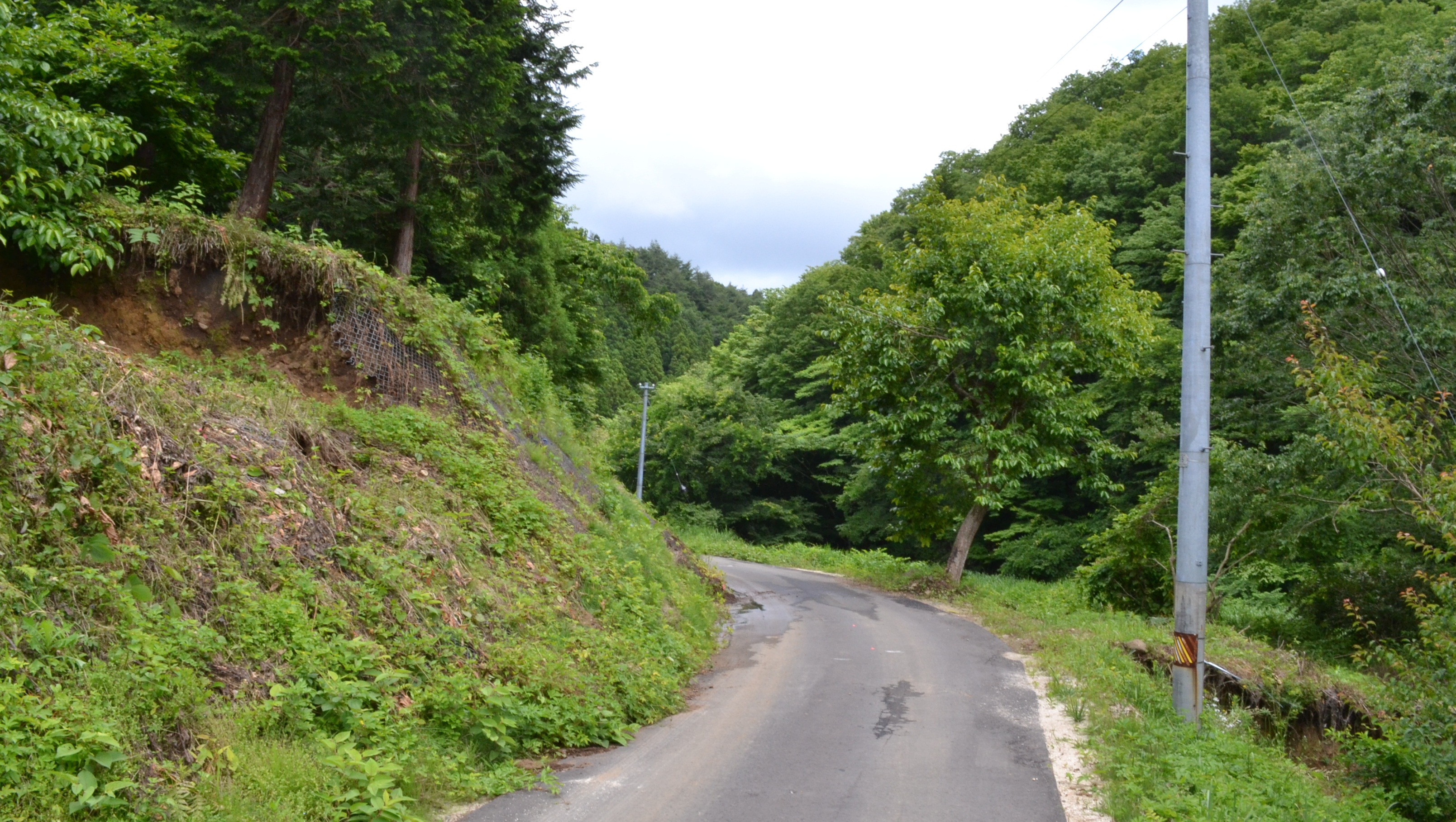 田人町黒田字塩ノ平地内の林道・改修完了後(平成24年6月  いわきジャーナル撮影)