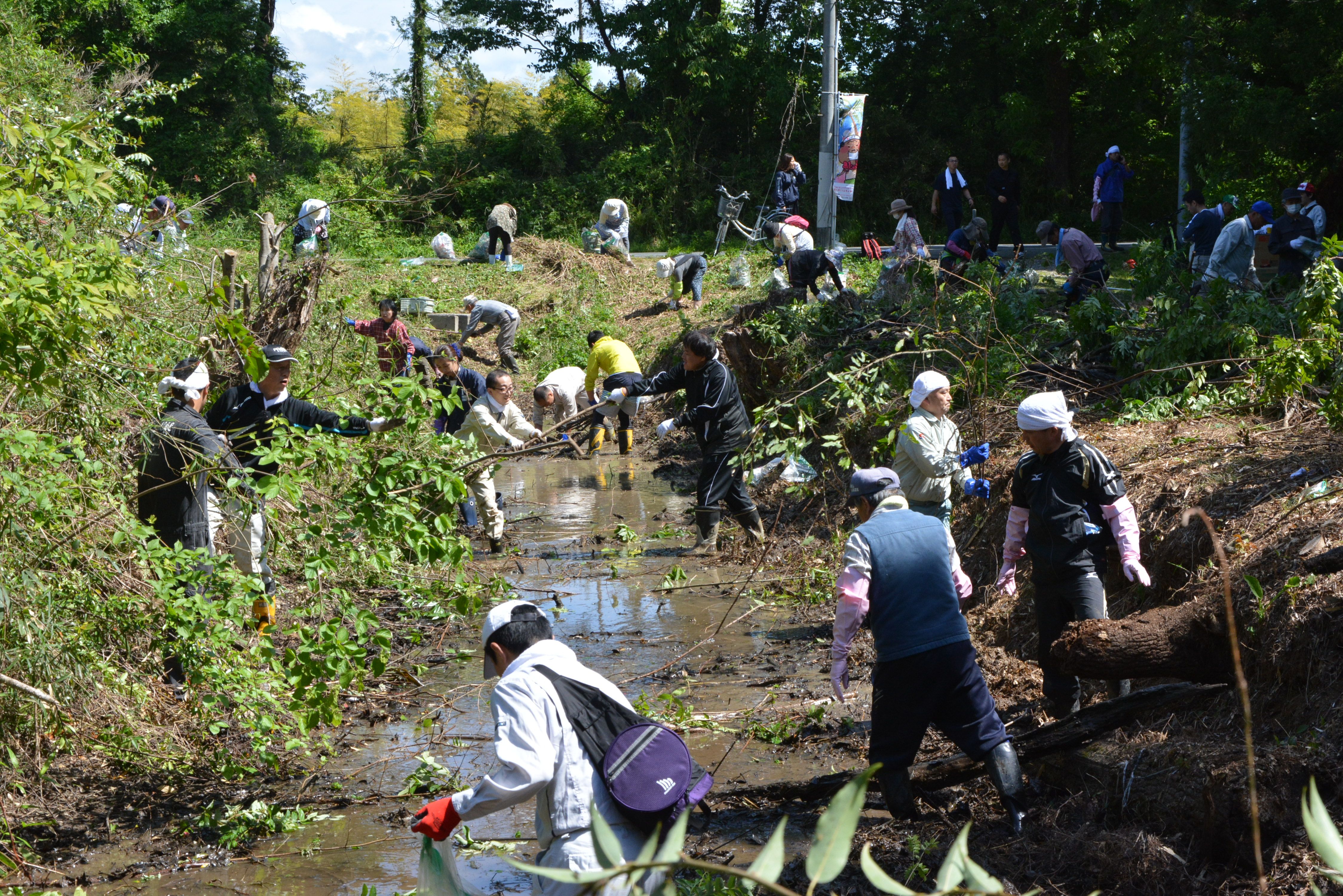 湯長谷陣屋跡の旧堀清掃(平成26年5月　いわき市撮影)