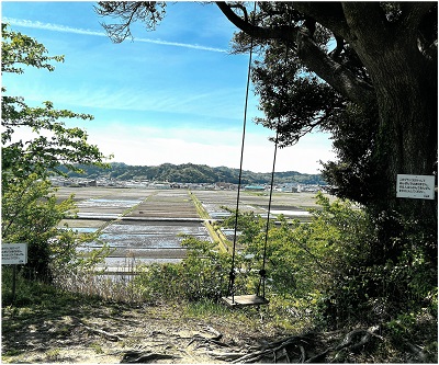 学生賞　田植時