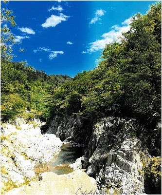 学生賞　青空の下流れるいのち